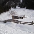 DSC02020
